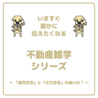 画像256