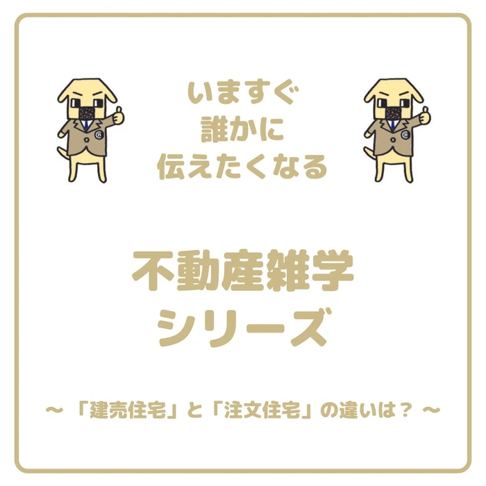 画像256