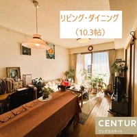 画像262