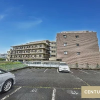 画像295
