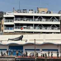 画像467