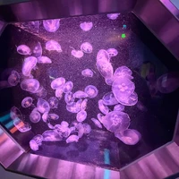 画像472