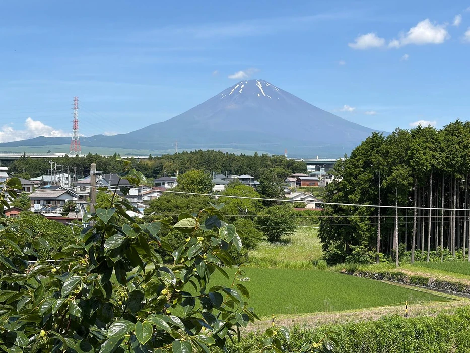 画像506