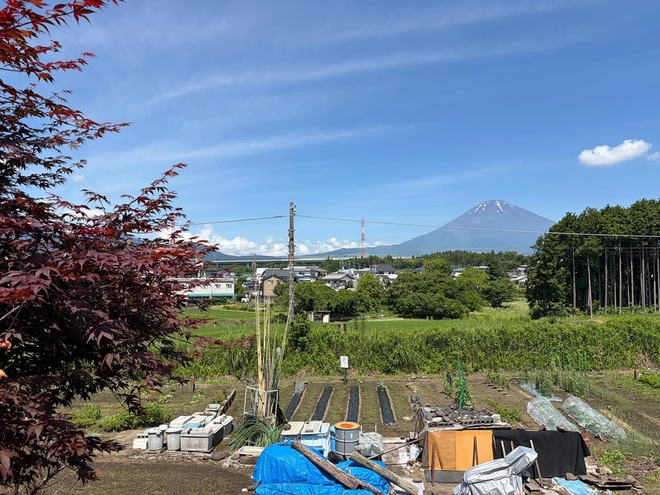 画像508