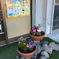 画像515